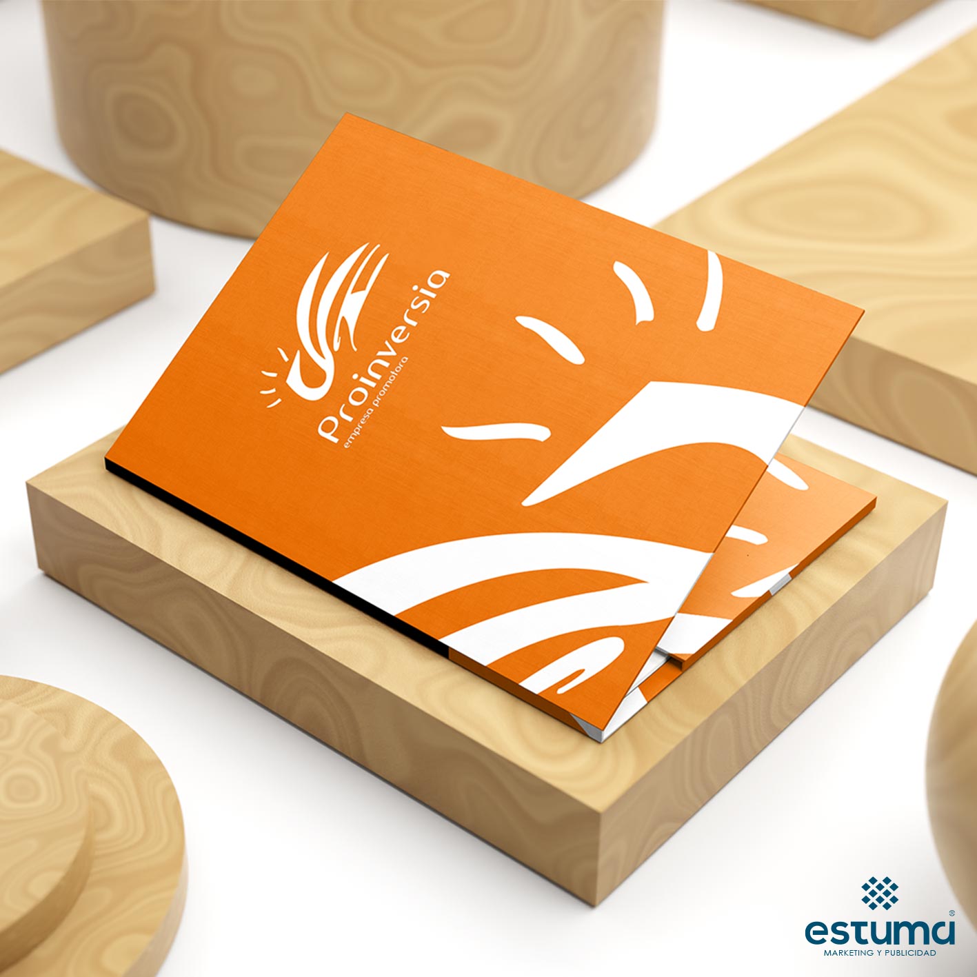 PROINVERSIA-Branding-Corporativo-ESTUMA-Agencia-de-marketing-y-publicidad-f-5.jpg